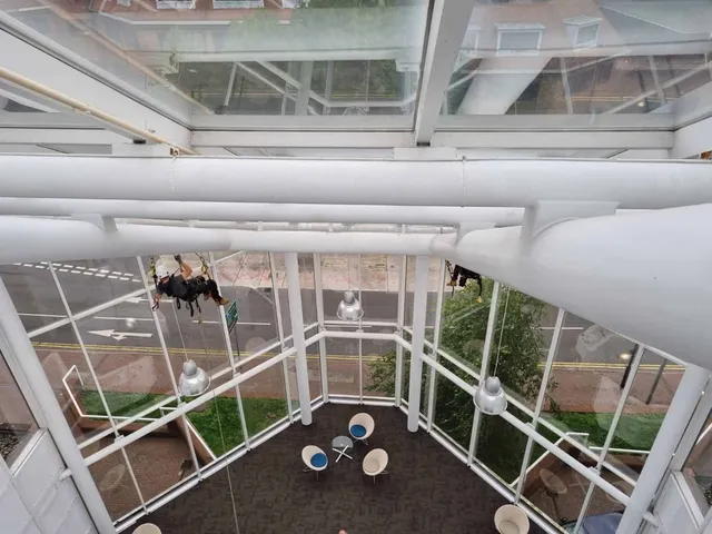 High-level glazing inspection using rope access
