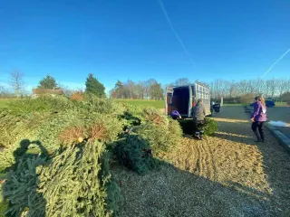 Sky Access UK Supporting EACH Christmas Tree Collection Sky Access UK volunteers collecting Christmas trees in a van to support the East Anglia’s Children’s Hospices charity Christmas tree recycling scheme.
